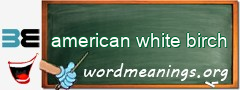 WordMeaning blackboard for american white birch